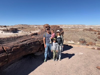 Einstein and Petrified&nbsp;Trees